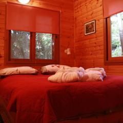 בית אמיתי מתת