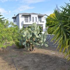 Cactus luxury apartment oreoi