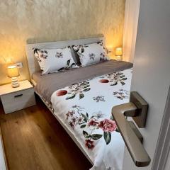 Signature Studio Arad