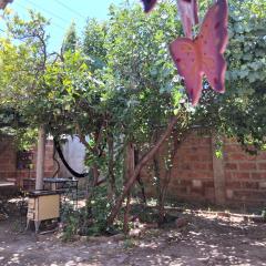 Casita acogedora en Ñuñoa