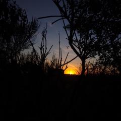 AmoVertecasadeveraneo