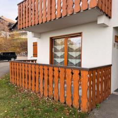 apptT2 station ski familiale