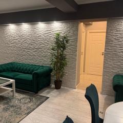 Central Elegance Apartment