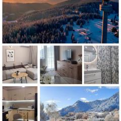 Апартамент "Rodopi" с Гледка към Езеро Безплатен Подземен Гараж