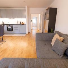 Bright, cozy, well located at Alaunpark-Neustadt