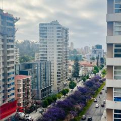 Alojamiento Entero en Centro de Viña del mar