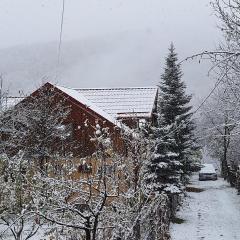 Memory Lane Cottage – Posada