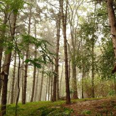 CityCenter Park-Side Work&Lodge