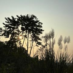 Teplong The Paix, Kaziranga National Park