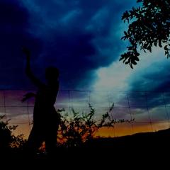 Butternice Farmstead