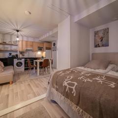 Lomavuokra Studio apartment A3, Levi Central, ski-in ski-out