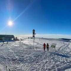 HAUS AM SEE - Natur Pur