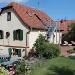 Gîte Sylvaner sur la route des vins