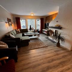Ustedalen Lodge, Appartement 1