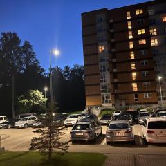 Naujos statybos trijų kambarių butas Dragūnų gatvėje