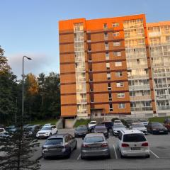 Naujos statybos trijų kambarių butas Dragūnų gatvėje