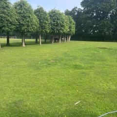 One Charming Bedroom 4 Poster Bed, Christmas Rural Retreat & Alpacas in Dorset