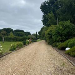 Alpaca Retreat for Wildlife Lovers near the New Forest and Dorset Coast