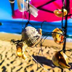 William's apartments - third special studio