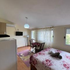 Gazi’s Apartament for Rent