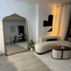 Beautiful Strasbourg apartment, 2 high standing rooms