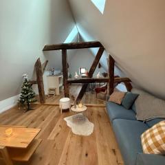 Renovated Alsatian house Maison Théless