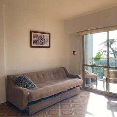 Departamento 3 ambientes Alem