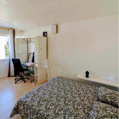 Chambre privée Anglet, Les iris