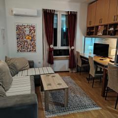 Dorcol-Basic Apartman