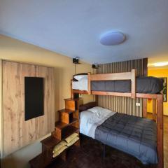 Hornpeak, apartment on the slopes of Cielo Alto, Cervinia