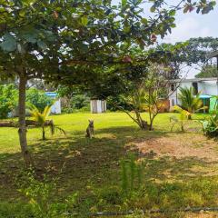 Villa 1200m2 de jardin "100m plage"