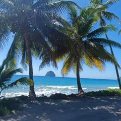 Beau duplex T3 belle vue mer - A 100 m de la plage