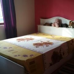 Beautiful 3 bedrooms house close to Airport