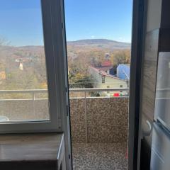 Panorama Spa Apartment