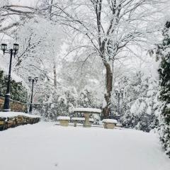 Cottage like home in Toronto