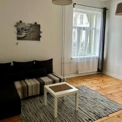 Spacious one bedroom Ausekļa apartment