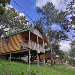 EntreRobles PapaMarios