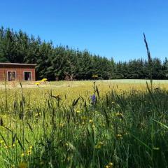 Cabaña 4 Acogedora en un entorno natural