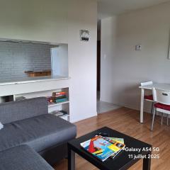 Hull-Wrightville apt# 15 with balcony