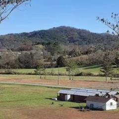 Quiet Tellico Cabin - Minutes to Cherohala Skyway
