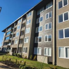 Apartamento en Condominio Terraza Mirador