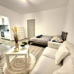 Nádherný apartmán v Ružinove