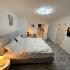 Apartment Döbeln Centrum