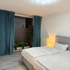 Apartment Döbeln Centrum