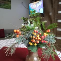 Całoroczny Apartament u Grzegorza