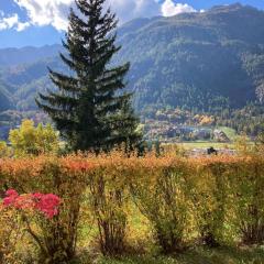 Cozy apartment with views of the mountains