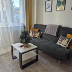 Apartament Miejski