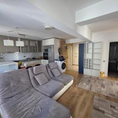 Apartament Blue Shark