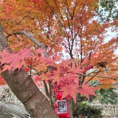 ist villa 05 Mountain Hideout Sleeps 3