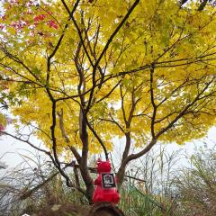 ist villa 06 Private Beachfront Sleeps 16